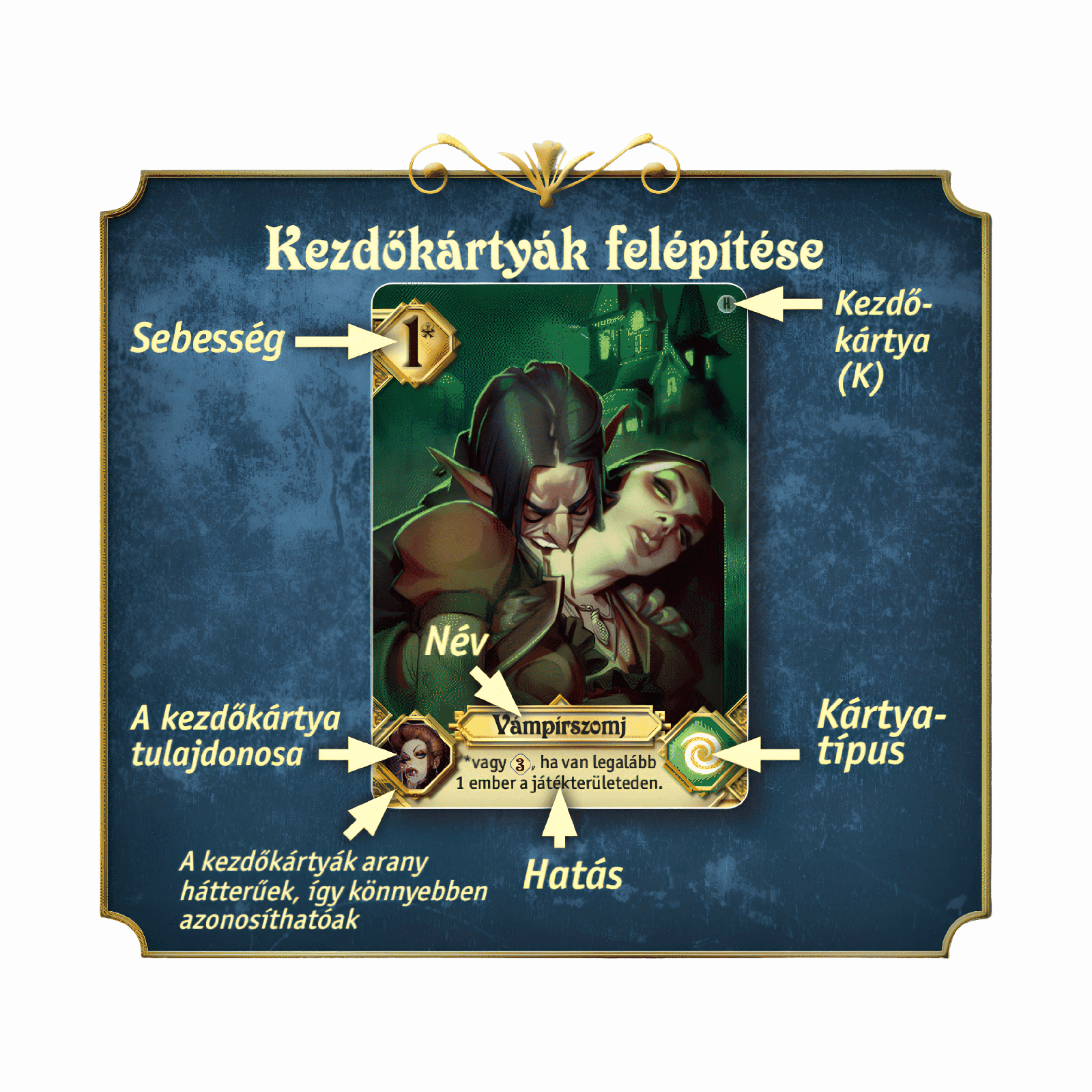 Kép 6