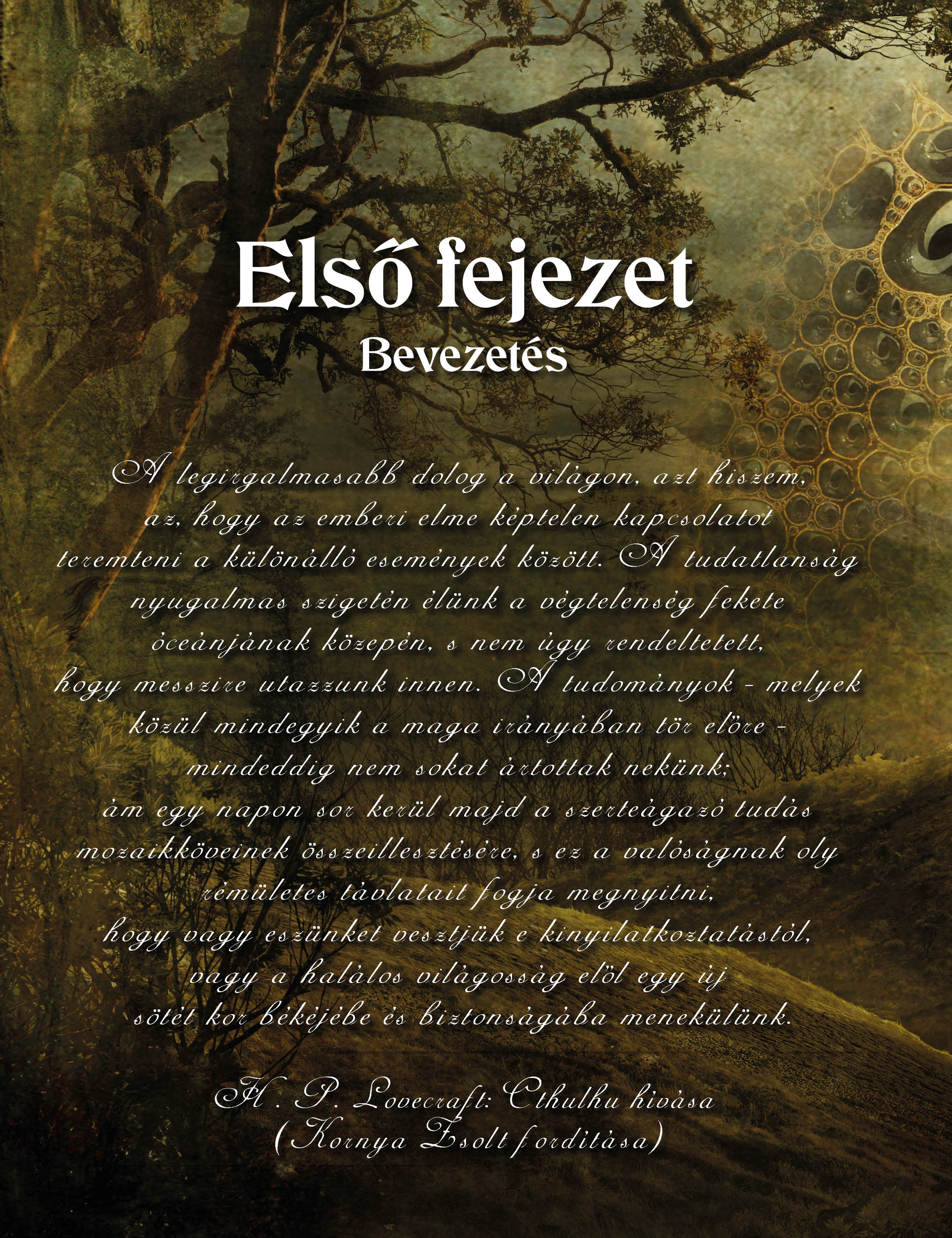 Kép 2