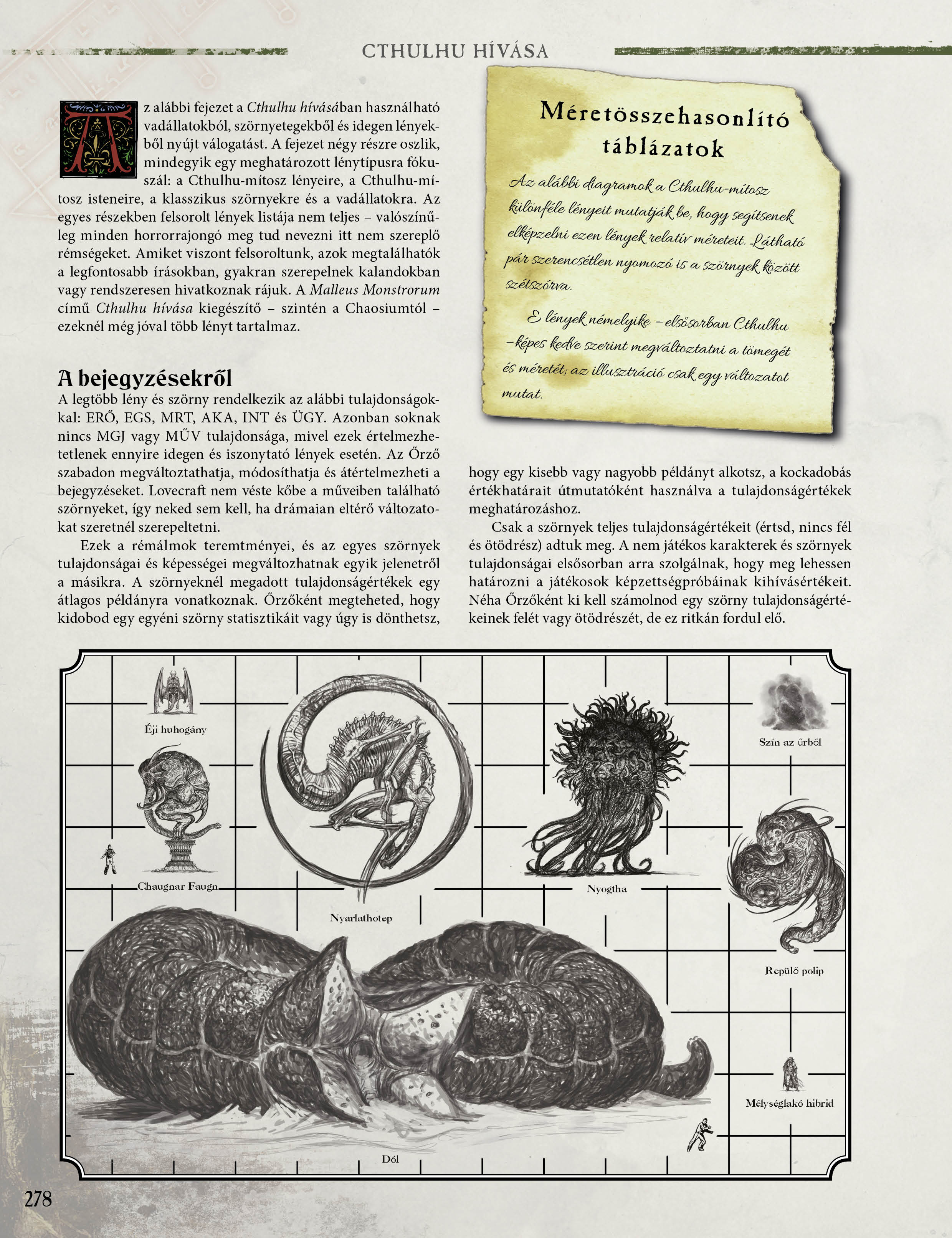 Kép 6