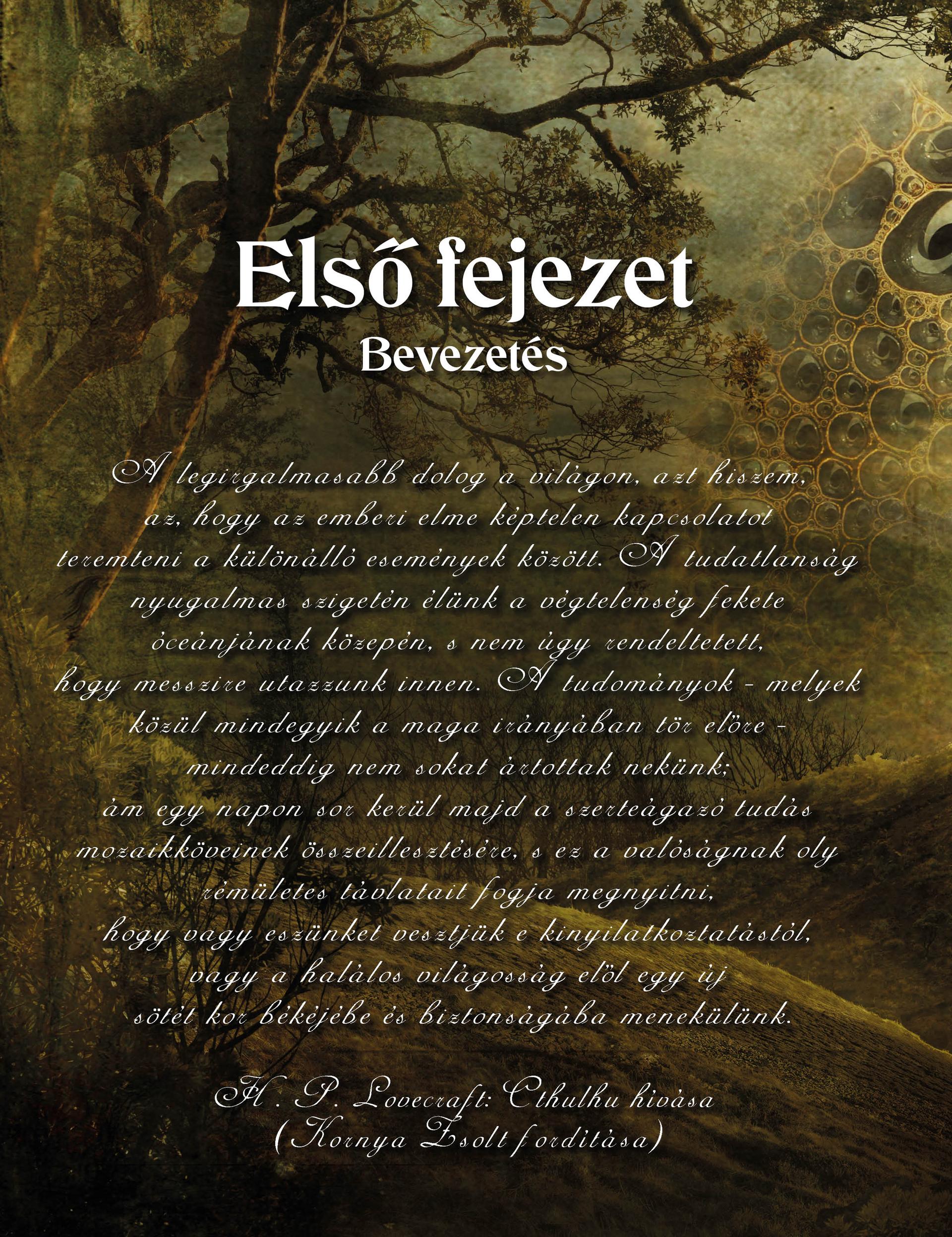 Kép 2