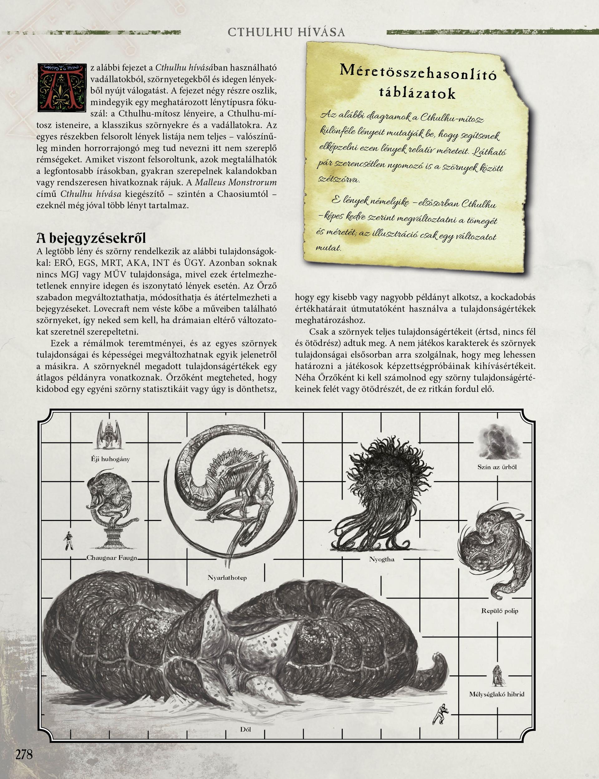 Kép 6